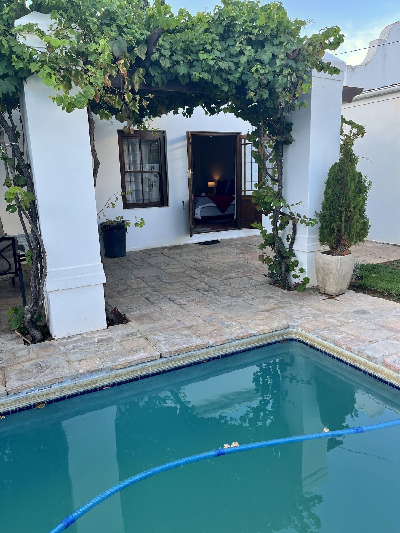 The pool