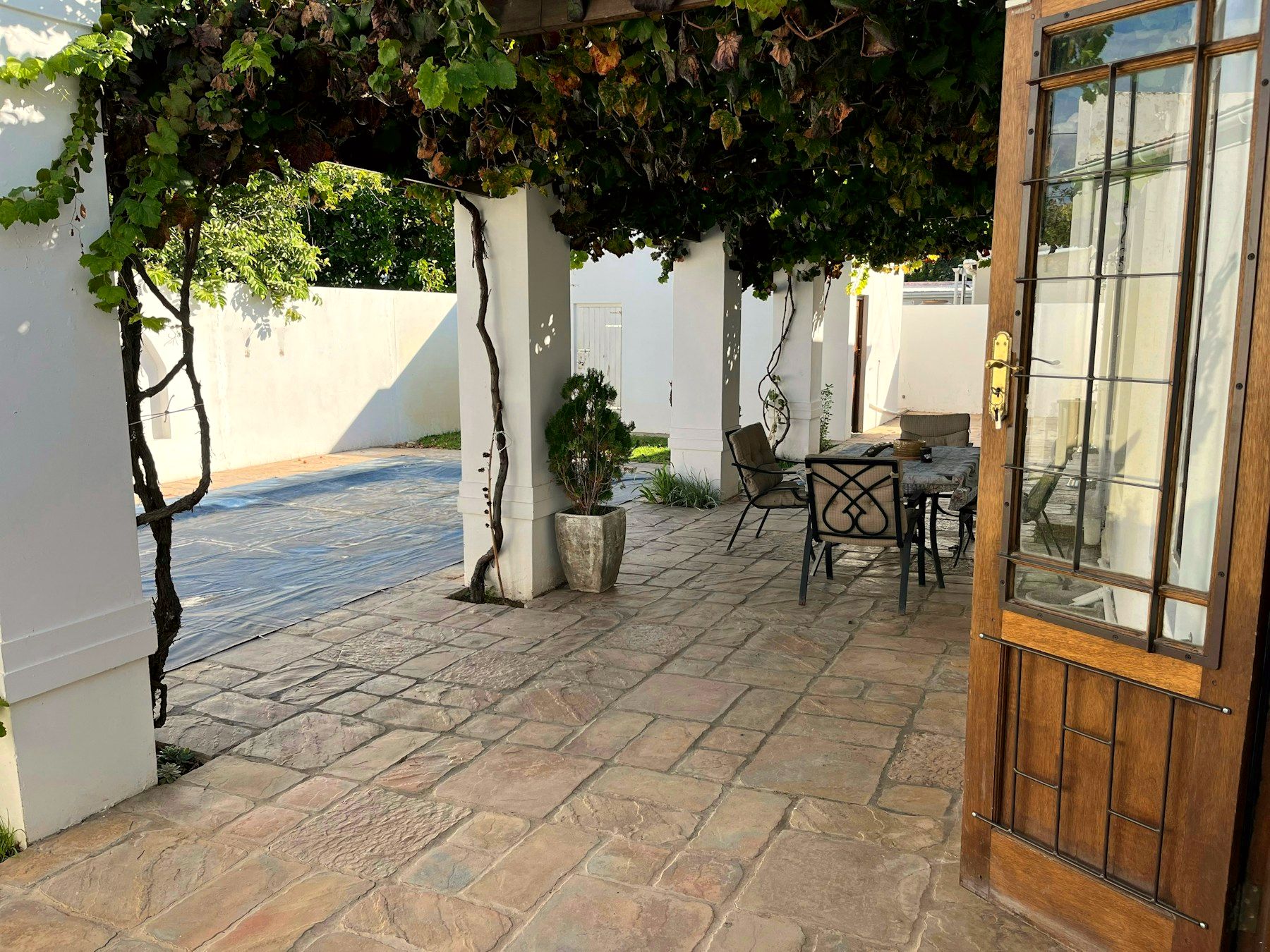 The vine-covered courtyard